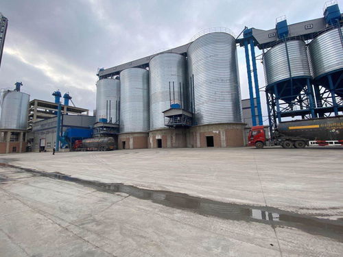 兰西县 民营经济驱动高质量发展，建筑材料销售成为强劲新动能